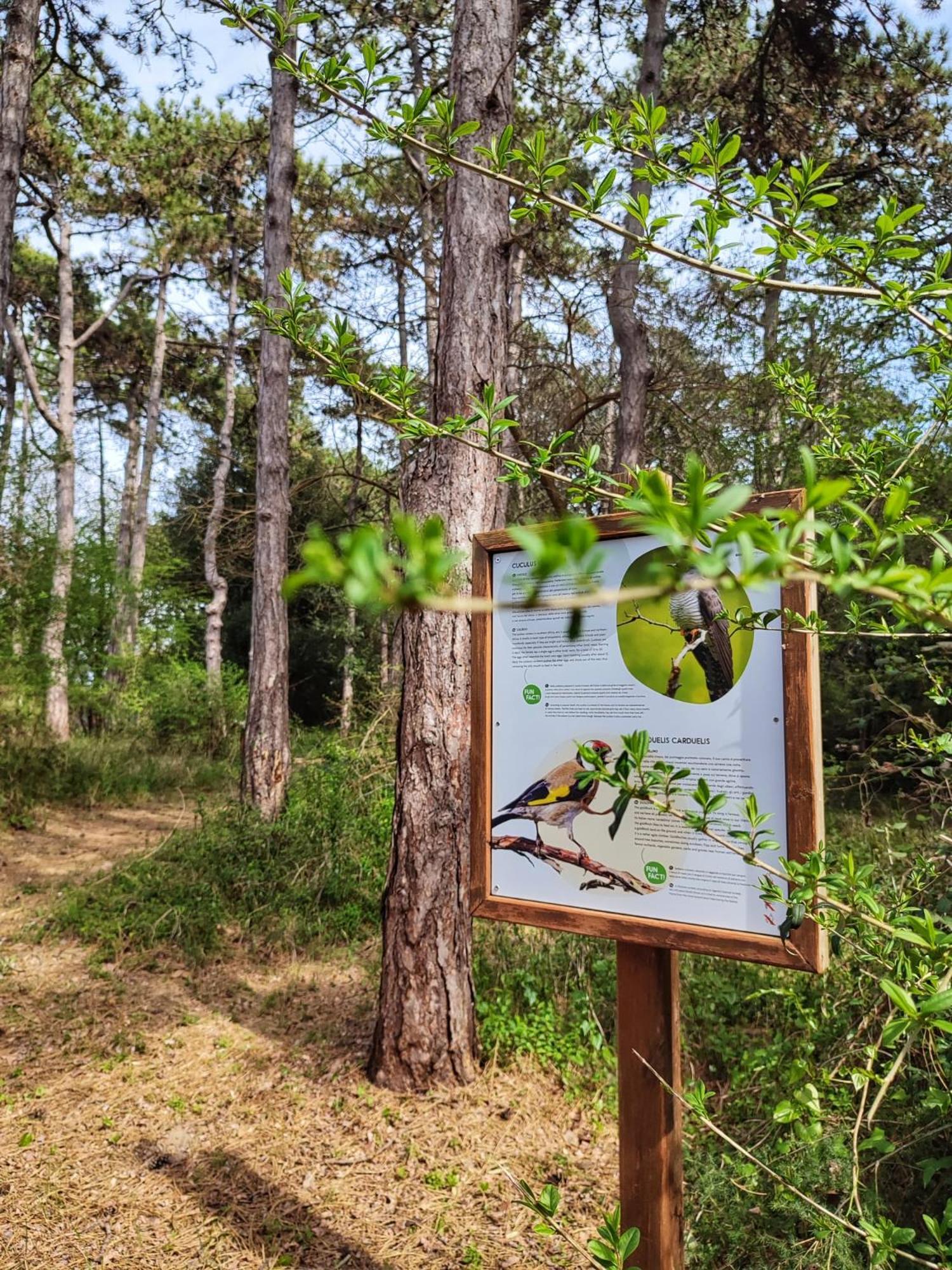 Green Village Eco Resort リニャーノ・サッビアドーロ エクステリア 写真